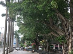 -润泽园海南椰子鸡·糟粕醋火锅(拱北店)