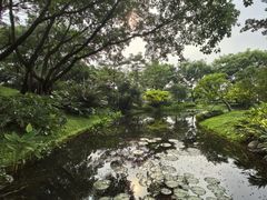 -云溪植物园