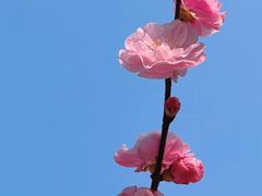 -北京奥林匹克公园