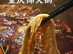 -重庆锦火锅(惠福东路店)