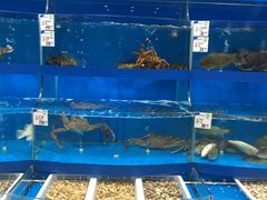 -果蔬好生活超市(乐堤港店)