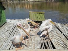 -沈阳森林动物园