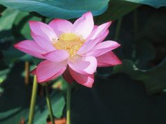 -南翠屏公园