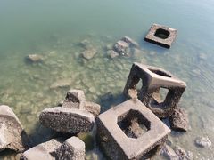 -东疆建设开发纪念公园