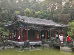 -深圳国际园林花卉博览园