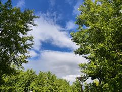 -中家鑫园温泉酒店鑫悦汤泉