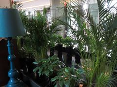 -苏州洲际酒店·大堂酒廊