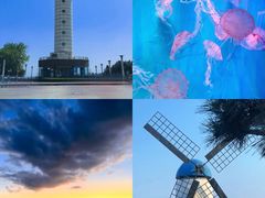 -日照世帆赛基地