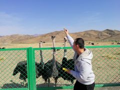 -新疆天山野生动物园