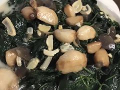 上汤辣椒叶-腰记饭店(龙源路店)
