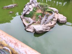 -南昌动物园