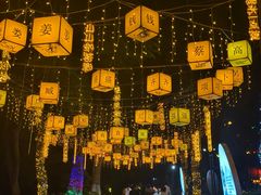 -广西壮族自治区药用植物园