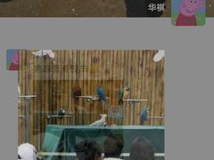 -青岛森林野生动物世界