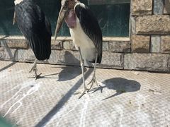 -石家庄市动物园