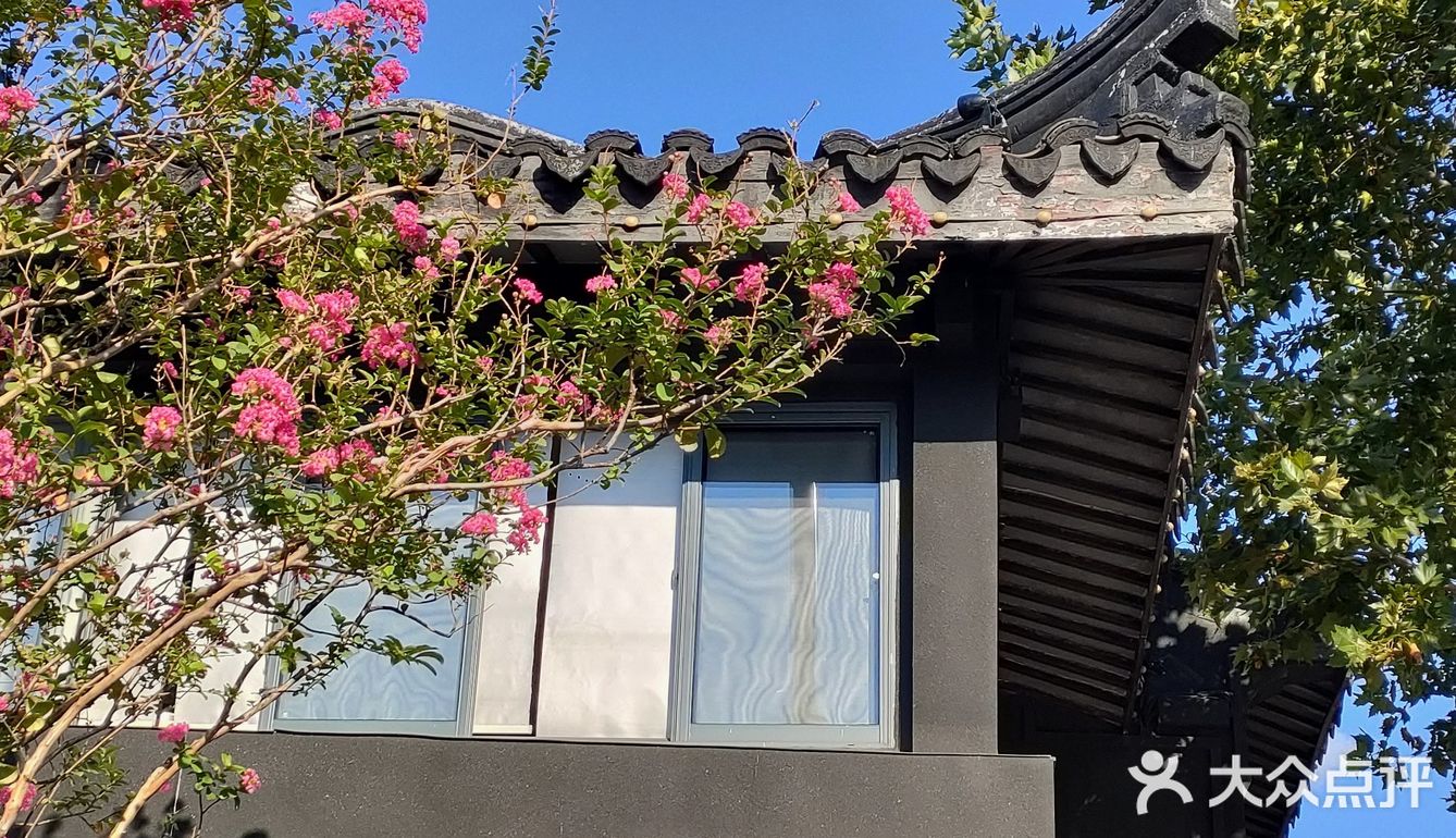花树旁的咖啡厅