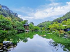 -云溪植物园