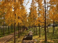 -汉长安城未央宫国家考古遗址公园