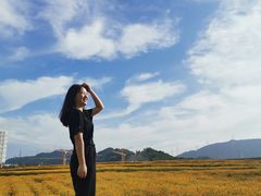 -光明小镇欢乐田园