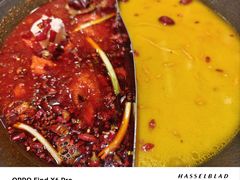 -朱光玉火锅馆(正弘城店)