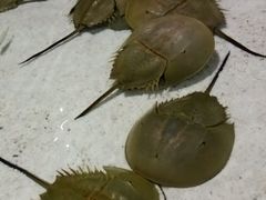 -福州罗源湾海洋世界旅游区