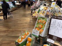 -阪急百货店(梅田总店)