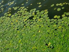 -长春市南湖公园