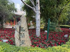 -白家大院·王府宫廷菜(苏州街店)