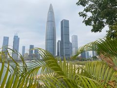 -梧桐山风景名胜区