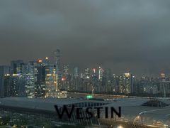 -广交会威斯汀酒店