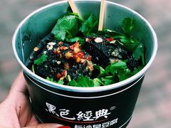 -黑色经典臭豆腐·湖南特产(坡子街店)