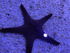 -多彩贵州城极地海洋世界