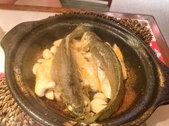 金榜黄花鱼-恭喜上堓砂锅焗·海鲜大排档(闵行龙湖店)