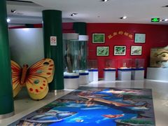 -上海昆虫博物馆