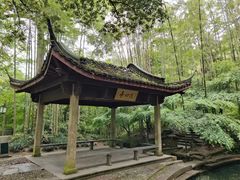 -西湖风景区十里琅珰-五云山