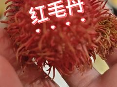 -北方暖暖温泉洗浴(沈阳北站店)