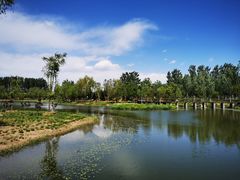 -东郊湿地公园