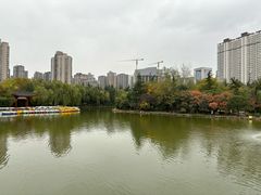 -乡党臊子面(丰庆公园店)