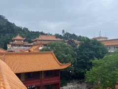 -深圳仙湖植物园