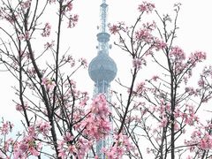 -文华公园(禅城区)