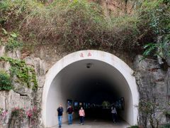 -深圳国际园林花卉博览园