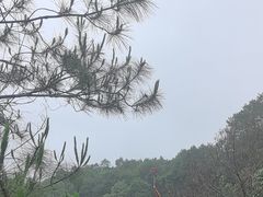 -广东大峡谷