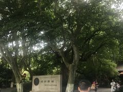 -杭州黄龙洞