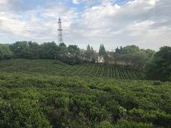 -南京市江宁方山