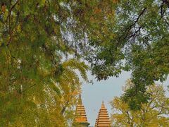 -北京石刻艺术博物馆(五塔寺)