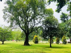 -华南国家植物园-售票处