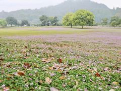 -福建鲤鱼洲酒店
