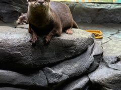-海合安成都极地海洋公园