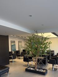 -付军剪艺JF ProSalon