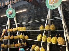 -都念榴莲·城市榴莲