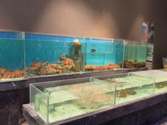 -许家菜.艺创菜(仁和新城店)